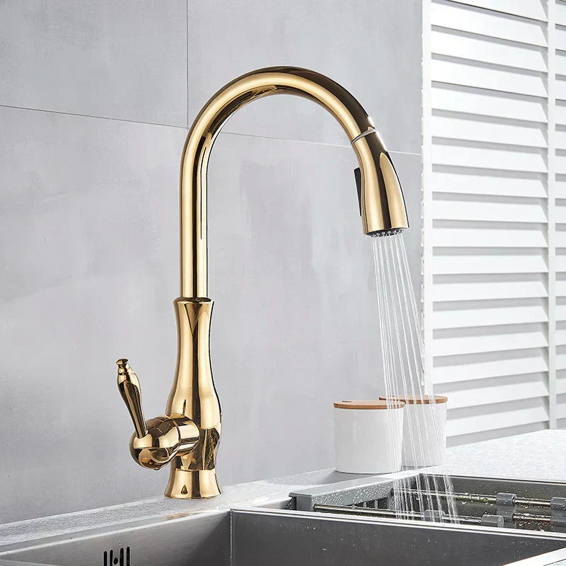 Aurelia Elegant Gold Kitchen Faucet With Retractable Spray