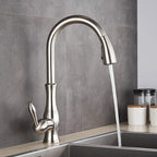 Aurelia Elegant Gold Kitchen Faucet With Retractable Spray
