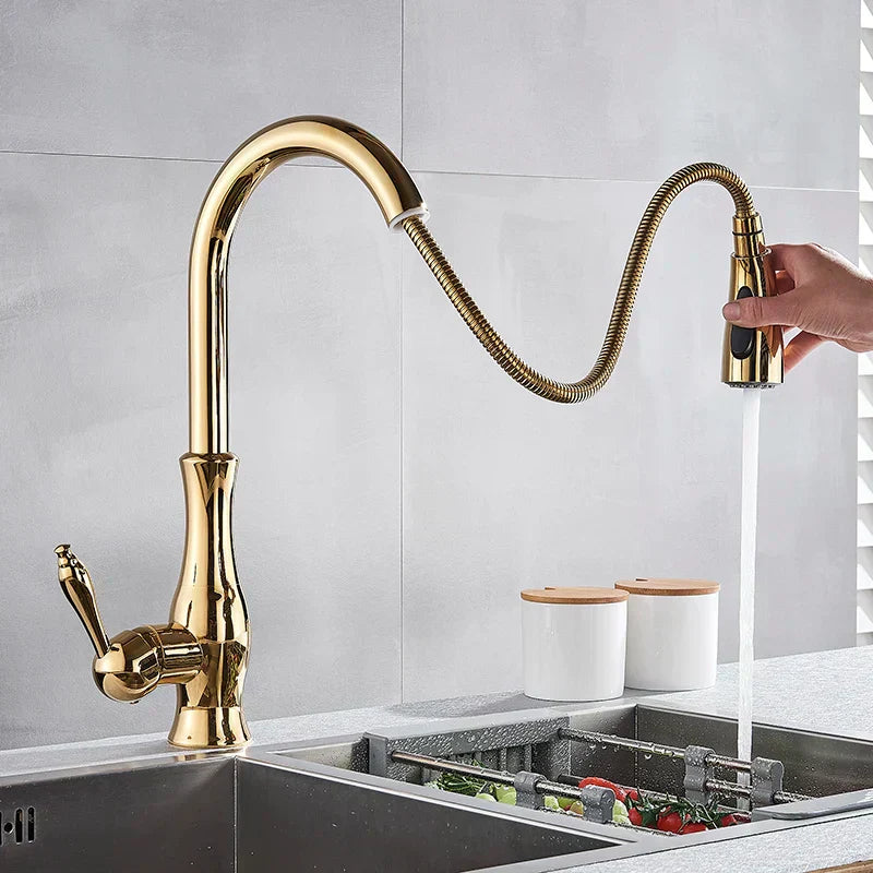 Aurelia Elegant Gold Kitchen Faucet With Retractable Spray