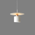 Aerion | Modern Minimalist Pendant Light For Living Spaces