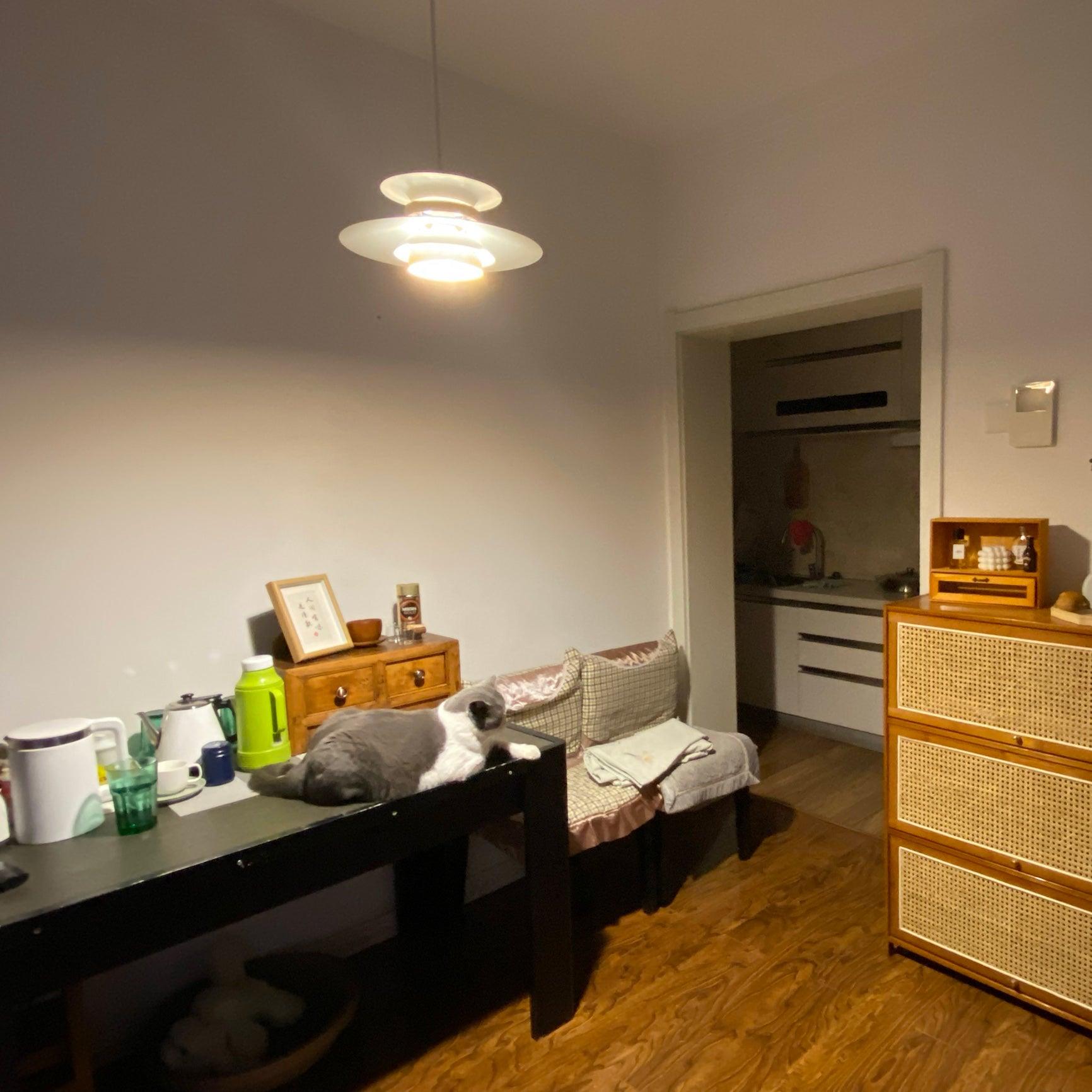 Aurelis Suspended Pendant Lamp With Warm Ambient Glow