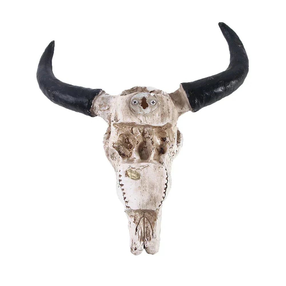 Calderro Resin Longhorn Skull Accent For Home Interiors