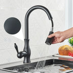 Aurelia Elegant Gold Kitchen Faucet With Retractable Spray