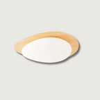 Avenora Minimalist Opal Acrylic Ceiling Light Warm Glow