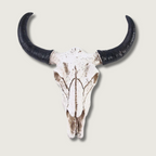 Calderro Resin Longhorn Skull Accent For Home Interiors