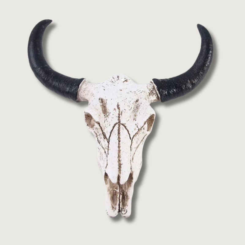 Calderro Resin Longhorn Skull Accent For Home Interiors